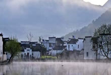 安溪茶叶特点大盘点